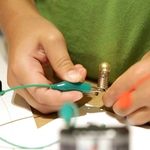 Profile picture of Anja Krumme